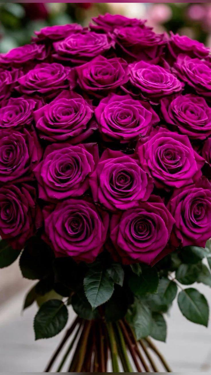 Corporate meeting room with carefully timed floral arrangements that maintain elegance throughout business hours